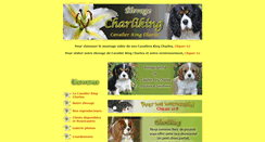 Desktop Screenshot of charliking.com