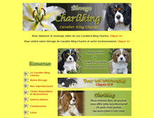 Tablet Screenshot of charliking.com